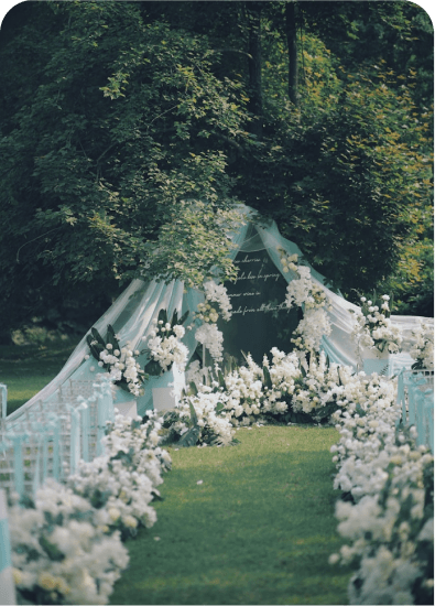 Bridal entry preview